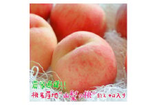 ＜25年発送先行予約＞ももの名産地 山梨 の桃 約2kg（5～8玉入り） 109-009