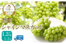 ＜25年発送先行予約＞厳選シャイン1.2kg（1～2房） 111-015