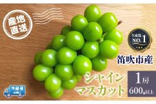 ＜25年発送先行予約＞シャインマスカット　1房600g以上　クール便対応 136-007