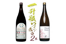 築宝一升瓶赤ワイン白ワイン　2本セット　127-013