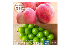＜25年発送先行予約＞オギノフルーツ定期便（桃 約2kg・シャイン 1.2kg以上） 136-013