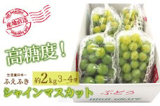 ＜25年発送先行予約＞厳選！山梨県笛吹市産 シャインマスカット 約2.0kg（3～4房） 156-001