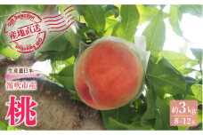 <25年発送>厳選！山梨県笛吹市産桃 約3kg（8～12玉） 156-002