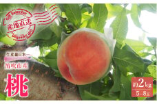 <25年発送>厳選！山梨県笛吹市産桃 約2kg（5～8玉） 156-003