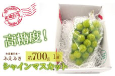 ＜25年発送先行予約＞厳選！山梨県笛吹市産 シャインマスカット 約700g（1房） 156-005