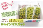 ＜25年発送＞厳選！山梨県笛吹市産 シャインマスカット 約1.5kg(2～3房) 156-006