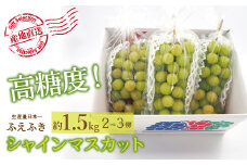 ＜25年発送先行予約＞厳選！山梨県笛吹市産 シャインマスカット 約1.5kg(2～3房) 156-006
