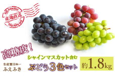 ＜25年発送先行予約＞厳選！ 山梨県笛吹市産 シャインマスカット含む３色セット 約1.8kg 156-007