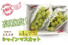 ＜25年発送先行予約＞厳選！ 山梨県笛吹市産シャインマスカット 約1.0kg(2～3房) 156-009 | シャインマスカット 発送 笛吹市 山梨県 フルーツ 果物 ぶどう 葡萄 シャインマスカット おすすめ シャインマスカット 贈答 ギフト 産地 笛吹市 ふえふき 種なし 高級 新鮮 笛吹 葡萄 国産 ぶどう 人気 国産 1kg 先行 予約 シャイン マスカット｜