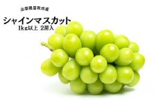 ＜25年発送先行予約＞葡萄の一大産地！笛吹市産シャインマスカット1kg以上 167-002