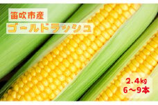 【2026年発送★先行予約】笛吹市八代産とうもろこし「ゴールドラッシュ」2.4kg 167-003