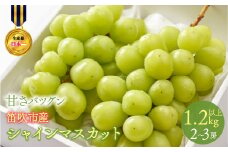 ＜2025年発送＞甘さ抜群プリプリ　シャインマスカット　2～3房　1.2kg以上 168-001