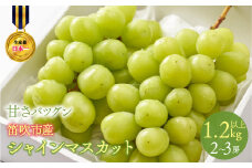 ＜2025年発送＞甘さ抜群プリプリ　シャインマスカット　2～3房　1.2kg以上 168-001