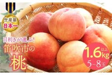 【2026年発送★先行予約】果物王国　笛吹市産の桃　1.6kg以上　5～8玉 168-002-26y