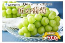 ＜25年発送先行予約＞露地山梨県産 シャインマスカット 1房約700g程度 177-012
