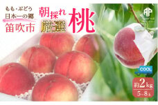 ＜25年発送先行予約＞笛吹市産　厳選! 旬の桃 約2kg (5~8玉) 205-001