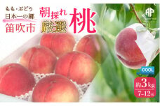 ＜25年発送先行予約＞笛吹市産　厳選! 旬の桃 約3kg (7~12玉) 205-002