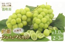 ＜25年発送先行予約＞笛吹市産　 厳選! シャインマスカット 2～3房 約1.0kg 205-004
