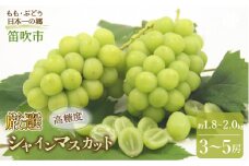 ＜25年発送先行予約＞ 笛吹市産　厳選! シャインマスカット 約1.8～2.0kg 3～5房 205-005