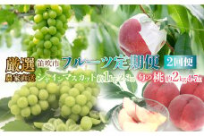 ＜25年発送先行予約＞笛吹市産　厳選!農家直送「フルーツ定期便2回便」桃 約2キロ(4～7玉)6月～8月 シャインマスカット約1.0キロ(2～3房) 9月～10月 205-006