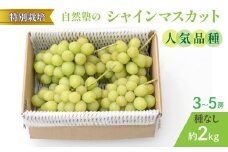 ＜25年発送先行予約＞減農薬『特別栽培』 自然塾のシャインマスカット2kg 207-001