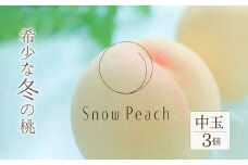 ＜25年11月発送先行予約＞Snow Peach（中玉3個入） 208-002