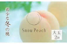 ＜25年11月発送先行予約＞Snow Peach （大玉2個入）　208-001