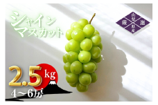 ＜25年発送先行予約＞笛吹市産　厳選シャインマスカット［2.5kg］（4～6房）フルーツ大国！山梨県笛吹市より産地直送 209-004  OUTTA REACH JAPAN							 			