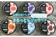 山梨のおいしさまるっと！ジェラート（6種セット）桃・ぶどう・いちご・ミルク・いちじく・ころ柿 201-001
