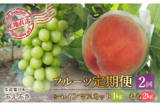 ＜25年発送先行予約＞厳選！大人気セット！笛吹市全２回定期便～もも2kg シャインマスカット1kg～ 156-100