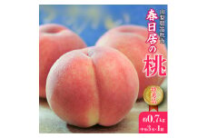 ＜25年発送先行予約＞≪山梨直送≫山梨産「春日居の桃」特秀品・中玉3玉×1箱　合計0.7kg 203-003