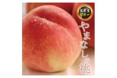 【2026年発送★先行予約】山梨の桃 約1.8kg 127-016-26y