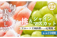 山梨の美味しいフルーツ全２回定期便  シャインマスカット・桃 154-100