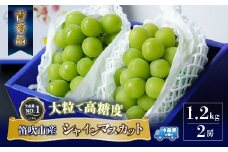 ＜25年発送先行予約＞大房『シャインマスカット』 山梨県産ぶどう 青秀品 2房 計約1.2kg 化粧箱入 ※冷蔵 JAふえふき 203-009