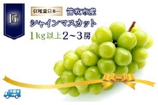 ＜2024年発送＞笛吹市産シャインマスカット（匠）2～3房 1kg以上 210-002