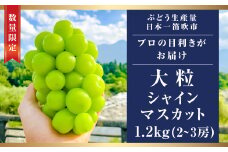 【2025年発送】　高級ぶどう シャインマスカット 1.2kg（2～3房入り）　103-001　ふるさと納税 シャインマスカット 大粒 笛吹市  国産 人気 期間限定  ぶどう ブドウ 葡萄 贈り物 ギフト プレゼント 旬 果物 フルーツ 山梨県 送料無料