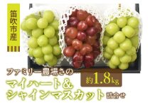 ＜25年発送先行予約＞【ファミリー農場さの】マイハート＆シャインマスカット詰め合わせ1.8kg相当 157-020