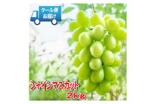 ＜2025年発送＞安心のクール便発送　収穫当日に産地直送　シャインマスカット 2kg (3～4房) 179-002