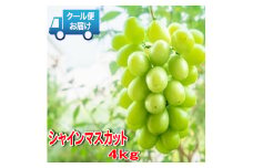＜2025年発送＞安心のクール便発送　収穫当日に産地直送　シャインマスカット 4kg (6～8房) 179-003