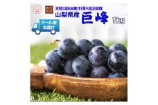 ＜2025年発送＞クール便発送　巨峰 1kg (2～3房) 179-008
