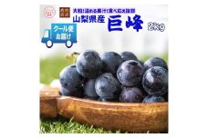 ＜2025年発送＞クール便発送　巨峰 2kg (3～4房) 179-010