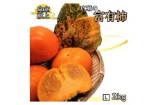 ＜2025年発送＞甘柿の王様　広瀬の富有柿 2kg Lサイズ 約7～9玉 179-012