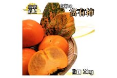 ＜2025年発送＞甘柿の王様　広瀬の富有柿 2kg 2Lサイズ 約6～7玉 179-013