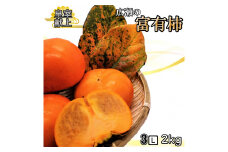 ＜2025年発送＞甘柿の王様　広瀬の富有柿 2kg 3Lサイズ 約5～6玉 179-014