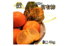 ＜2025年発送＞甘柿の王様　広瀬の富有柿 4kg 3Lサイズ 約12玉 179-017