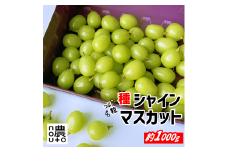 ＜25年発送先行予約＞【訳あり】 シャインマスカット 粒 1kg以上 154-033 | 不揃い ご自宅用 ご家庭用 フルーツ 果物 高評価 人気 ランキング おすすめ 甘い 美味しい デザート 数量限定 送料無料 山梨県産 笛吹市 ぶどう 「販売」 KEIPE株式会社		