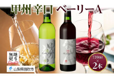 甲州辛口・ベーリーA 2本セット 720ml モンデ酒造 177-4-006