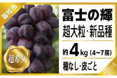 ＜25年発送先行予約＞たっぷり4キロ　富士の輝き（4-7房）　 097-015　 | ブラックシャインマスカット 発送  富士の輝き 富士の輝 笛吹市 山梨 山梨県 フルーツ 果物 ぶどう 葡萄 シャインマスカット おすすめ  贈答  山梨 山梨県笛吹市 シャインマスカット 産地 期間限定 4kg 笛吹 葡萄 国産 ぶどう 人気 新鮮 種なし  |