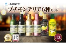 プティモンテリア スパークリング ロゼ 6種 飲み比べ 12本入 モンデ酒造 177-4-033