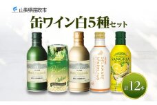 缶ワイン 白 5種セット 12本入 モンデ酒造 177-4-040